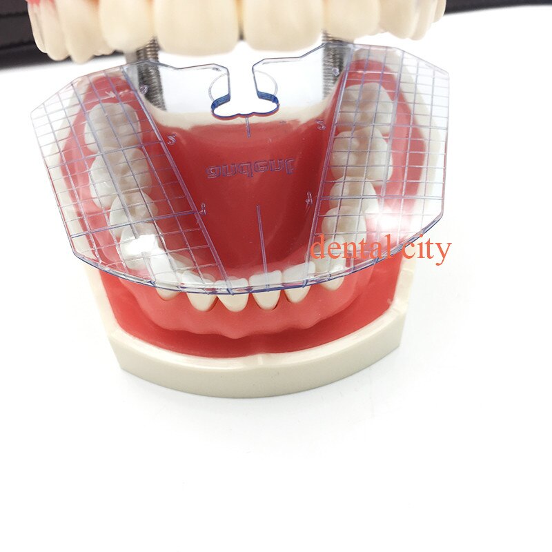 1pcs dental lab dental guide plate teeth arrangement on denture work Dental equipment