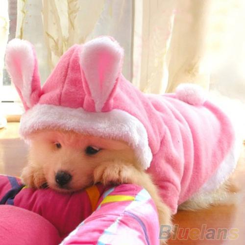 Moda macia cão de estimação adorável hoodie roupas coelho inverno quente filhote de cachorro trajes vestuário suprimentos do cão confortável de usar