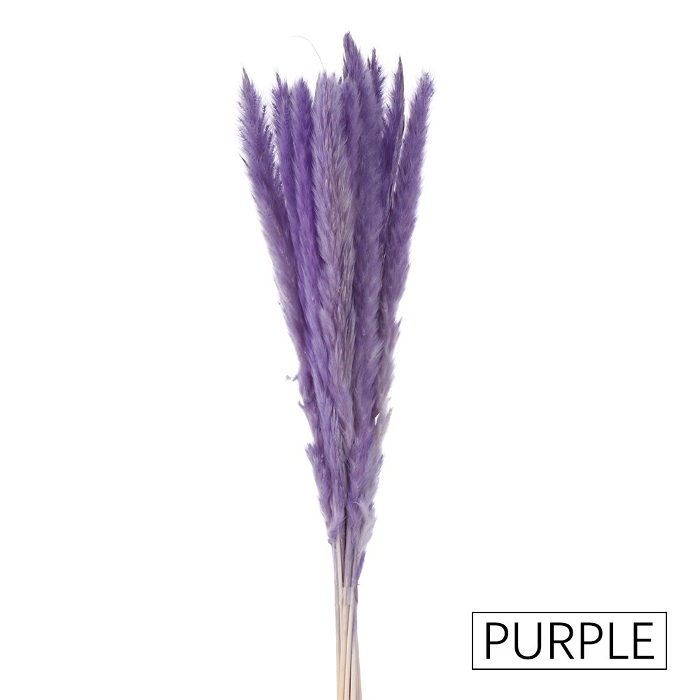 15/25 sztuk trzciny naturalne pszenicy kwiat bukiet suszone Pampas ślubny kwiat bukiet bukiety Bulrush dla Home Decor materiały ślubne: 15PCS-purple