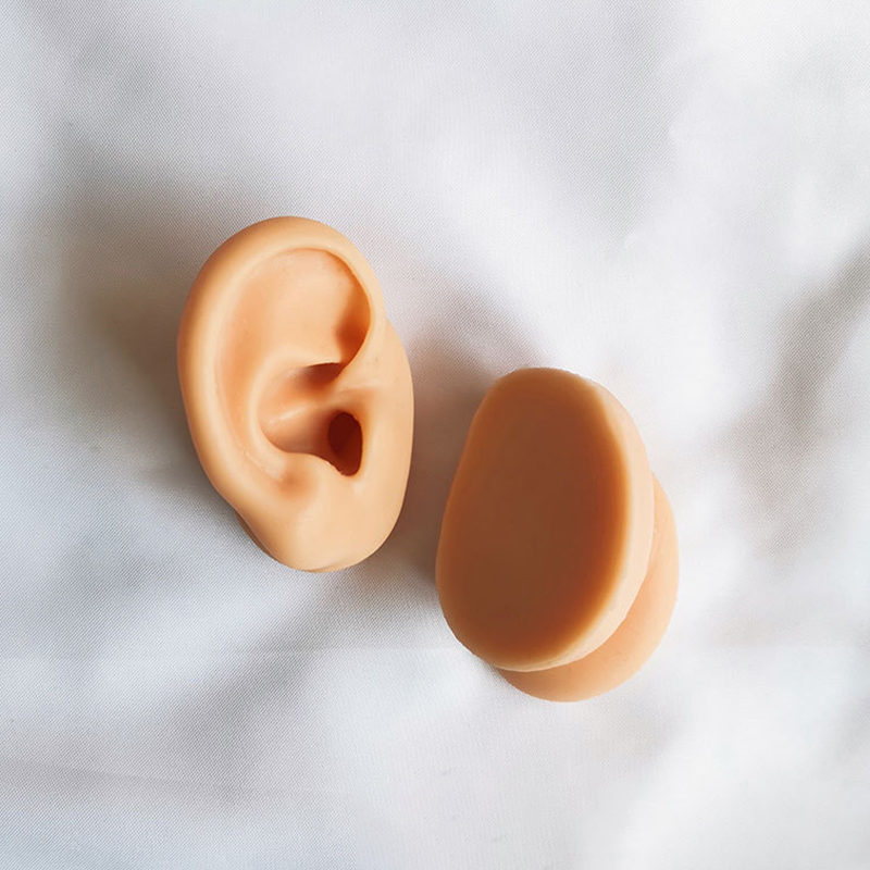 Artificial Human Ear Display Silicone Ear Model For Hearing Earphones Practice Piercing Shop Window Showing Body Jewelry
