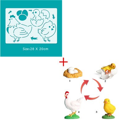 6 Sets Simulation Animal Life Cycle Growth Model Butterfly Frog Turtle Chick Ant Stencils Drawing Board Biology Teaching Tools: Army Green