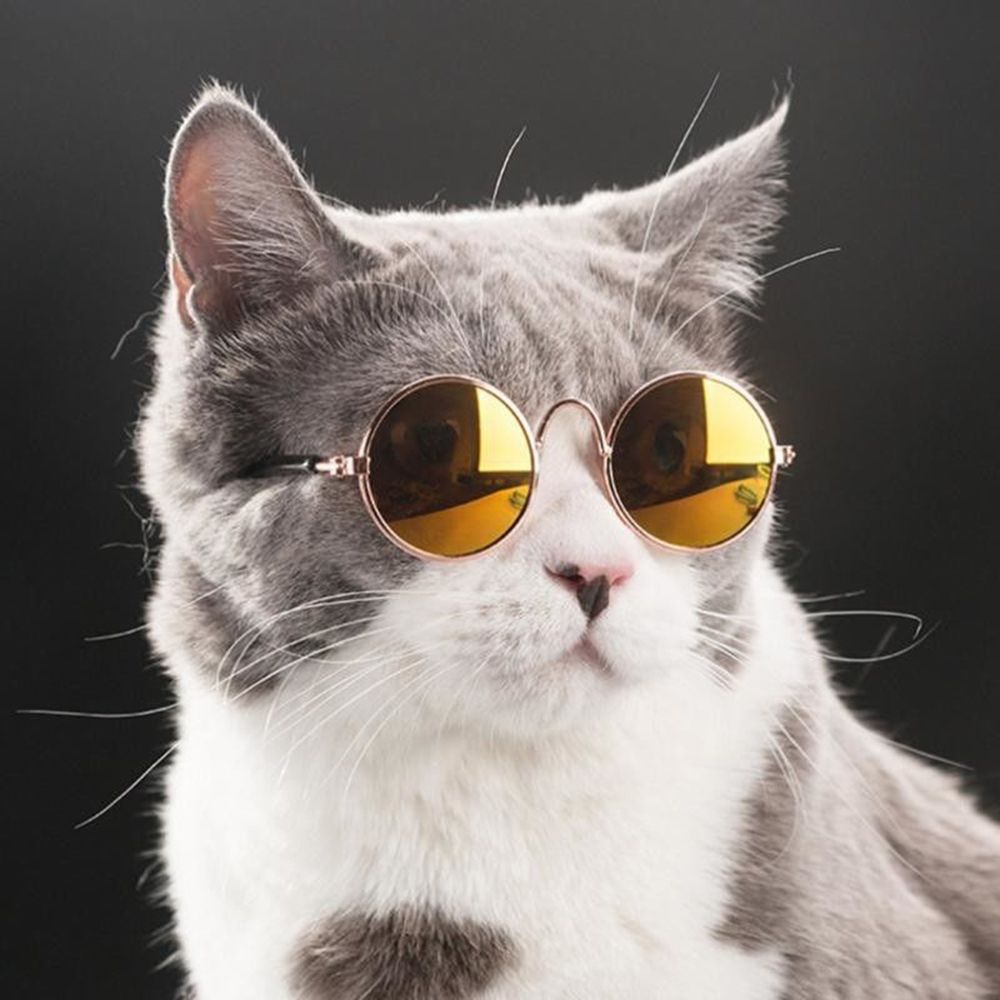Lunettes de soleil pour animaux de compagnie, 8 Cm, petit chiot chat, Protection des yeux, drôle chien, fournitures de décoration