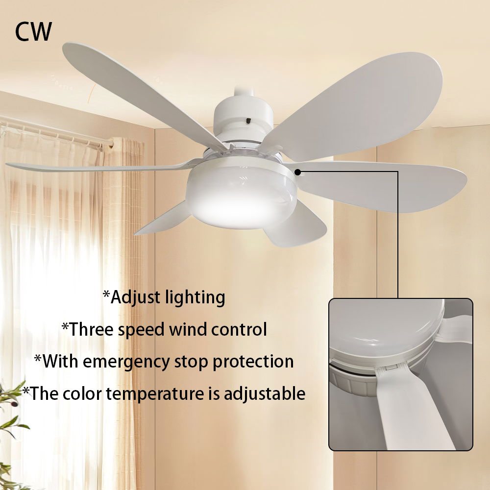 Ventilateur de Plafond 48CM avec Lumière Télécommande Température de Couleur Réglable 6 Vitesses de Vent Minuterie Blanc Ventilateur de Plafond 48CM avec Lumière Télécommande Température de Couleur Réglable 6 Vitesses de Vent Minuterie Blanc