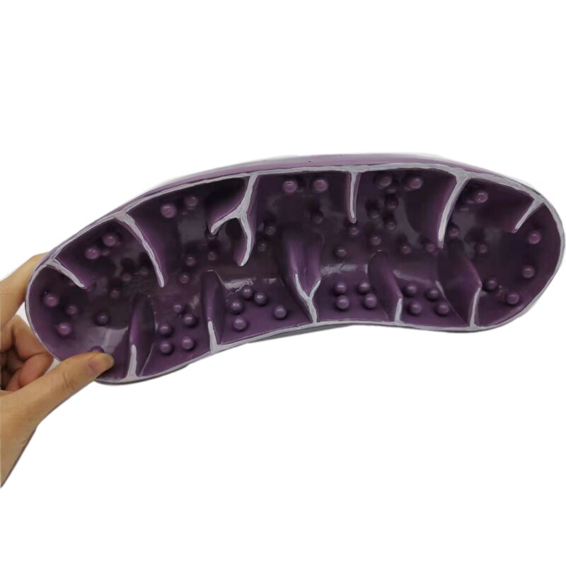 Biological Mitochondrion Model