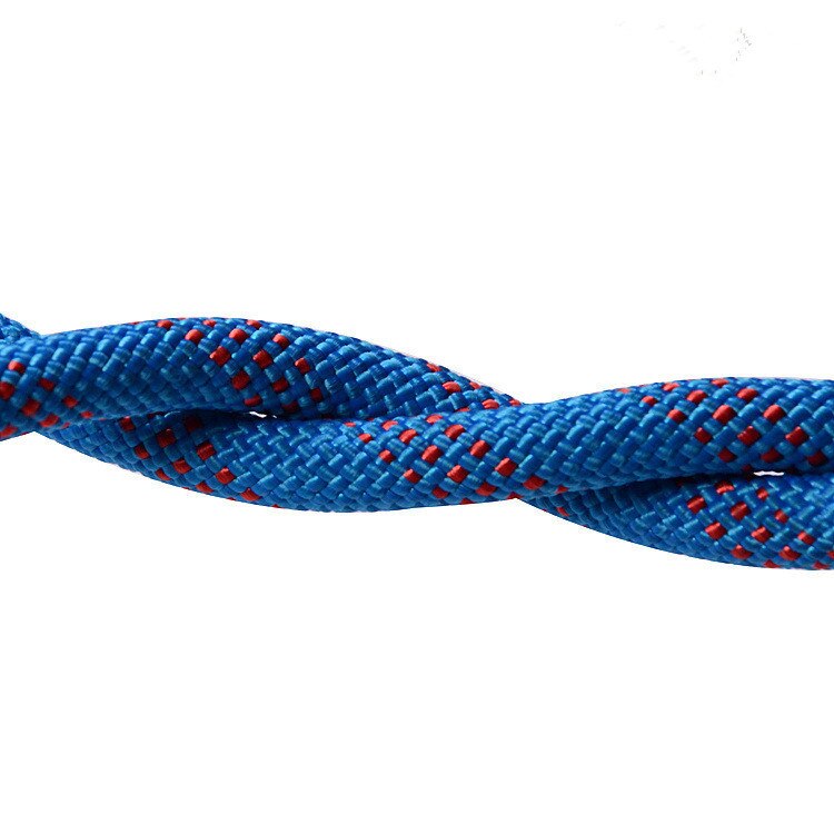 Professionele 10M Outdoor Klimmen Touw Hoge Sterkte Cord Veiligheid Touwen Wandelen Accessoire 10Mm Diameter 15KN Gestreepte Gesp