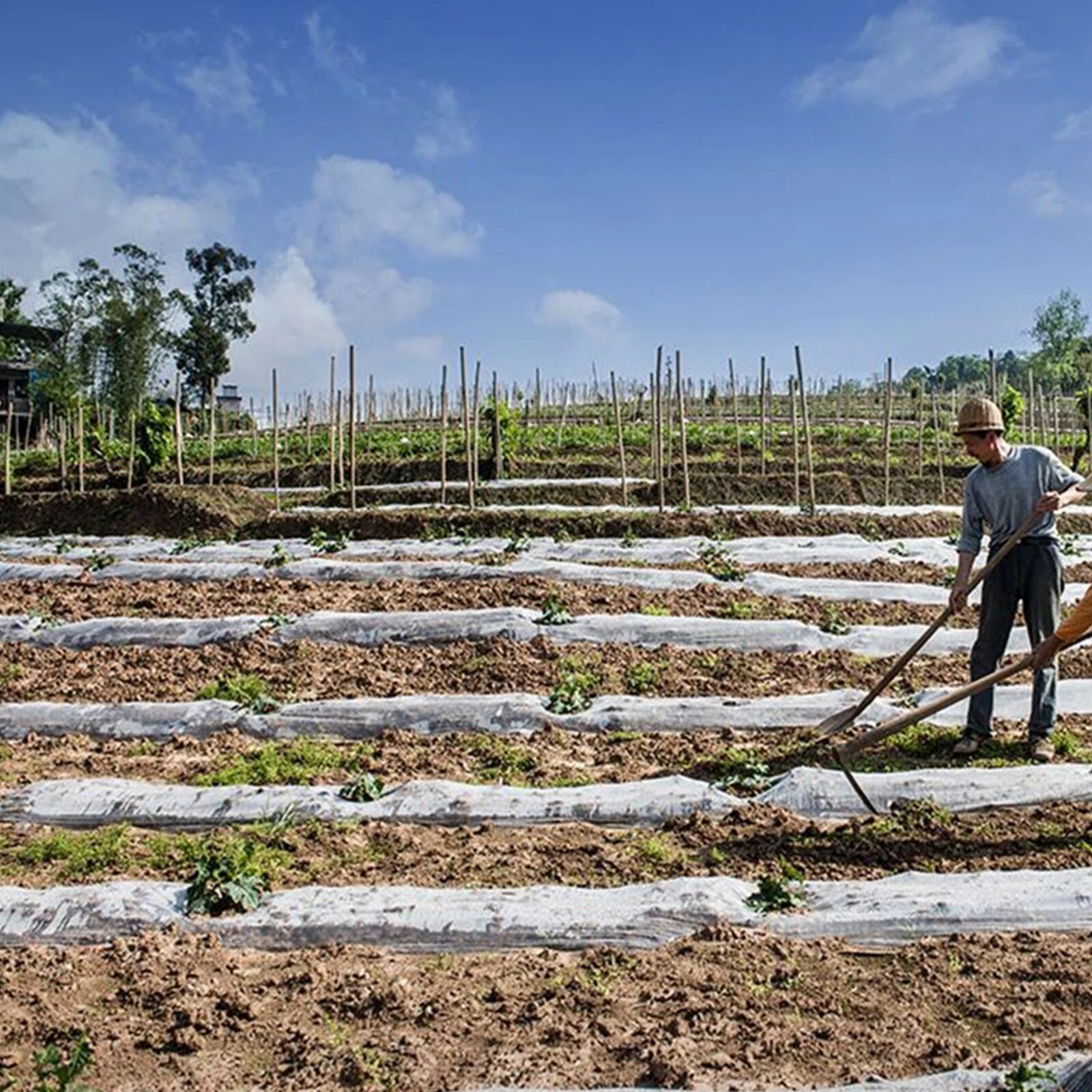 40 gsm vinter genanvendeligt plantebetræk fiberdug frysebeskyttelse plante frostbeskyttelse tæppe haveforsyninger fugle insekt