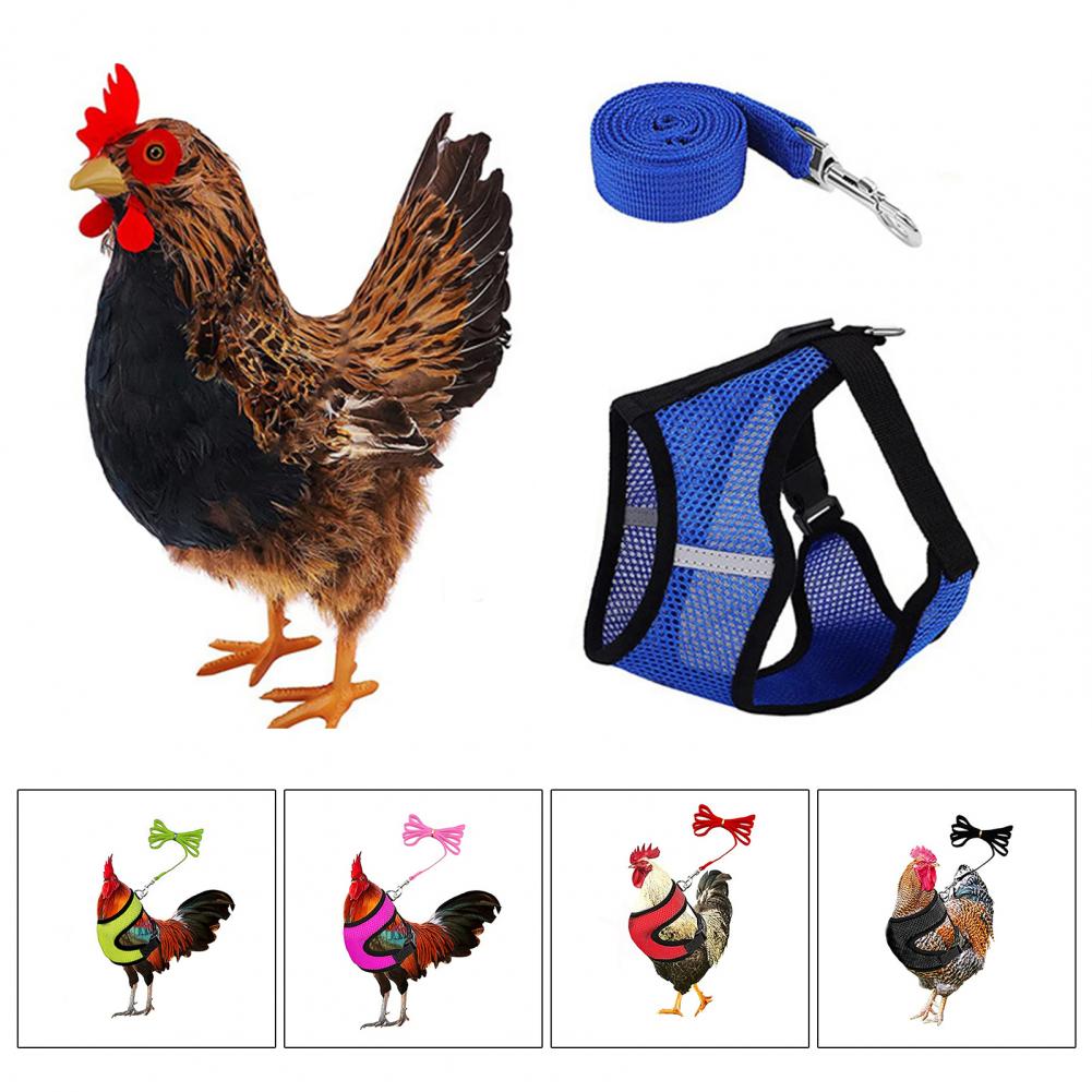 1 Set Chicken Harness Stylish Adjustable Mesh Chicken Duck Poultry Vest Poultry Supplies Duck Leash Chicken Vest