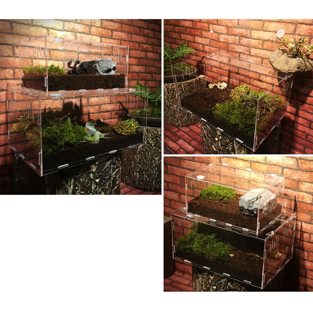 Pet Hom Reptile Box Cold Blooded Animals Breeding Stackable Animal Transportation Incubating Gecko Lizard Practical Reptile