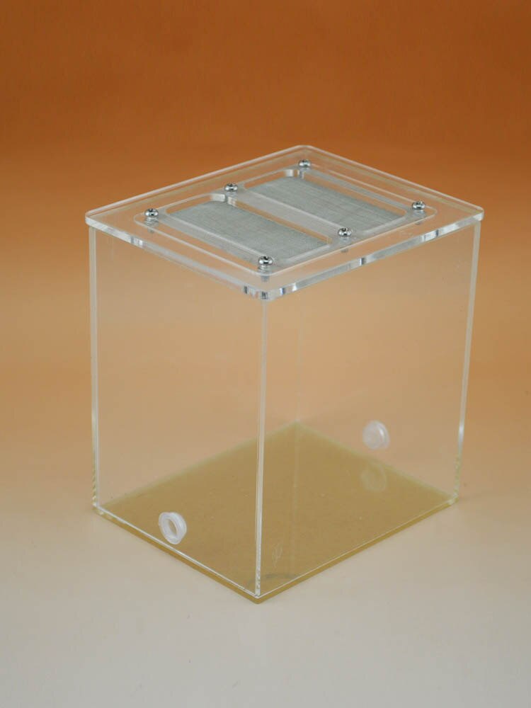 Acrylic net cover box Ant feeding box Reptile box Kunming insect box Breeding box Ant nest Ant castle Ant nest Insect box