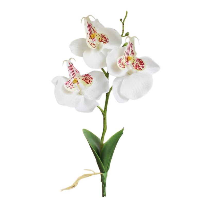 Kunstig blomst plast orkidé silke blomst hjem mini phalaenopsis simulering planter bryllupsfest dekoration blomst gren: Hvid
