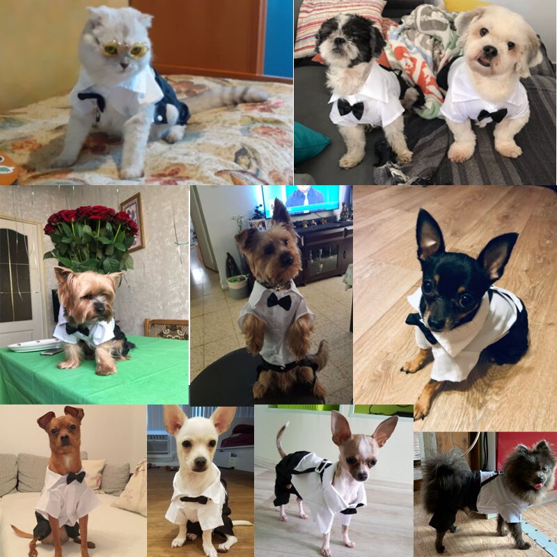 Kleding voor huisdieren, hond en kat, engelse stijl, prins, smoking, vlinderdas, puppykostuum, trouwpak, hondenpak, jumpsuit, jas voor kleine honden, maat s-xxl