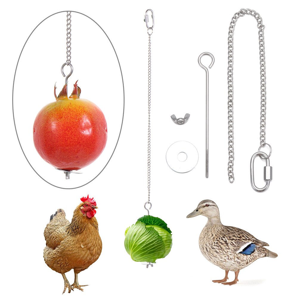 Stainless Steel Chicken Feeder Farm Poultry Chicken Food Vegetables Fruit Hanging Feeder Pet Supplies