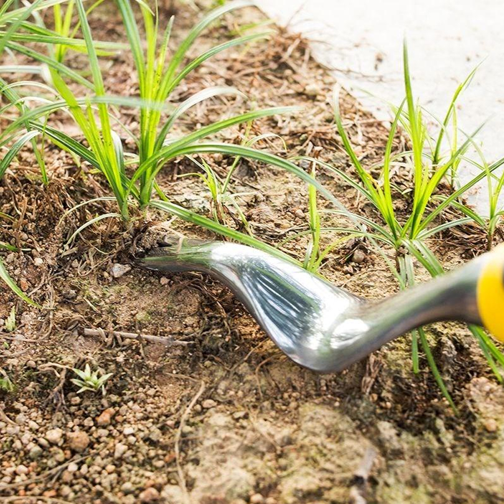 Outils de jardin désherbeur fourche truelle à main, râteau cultivateur, creuser des outils de désherbage de légumes sauvages avec poignée ergonomique outil de jardinage
