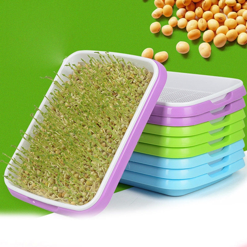 Bean Sprouts Hydroponic Double Layer Tray Growing Vegetables Seedlings Garden Nursery Pots Tray Planting Sprouts Starter Tray