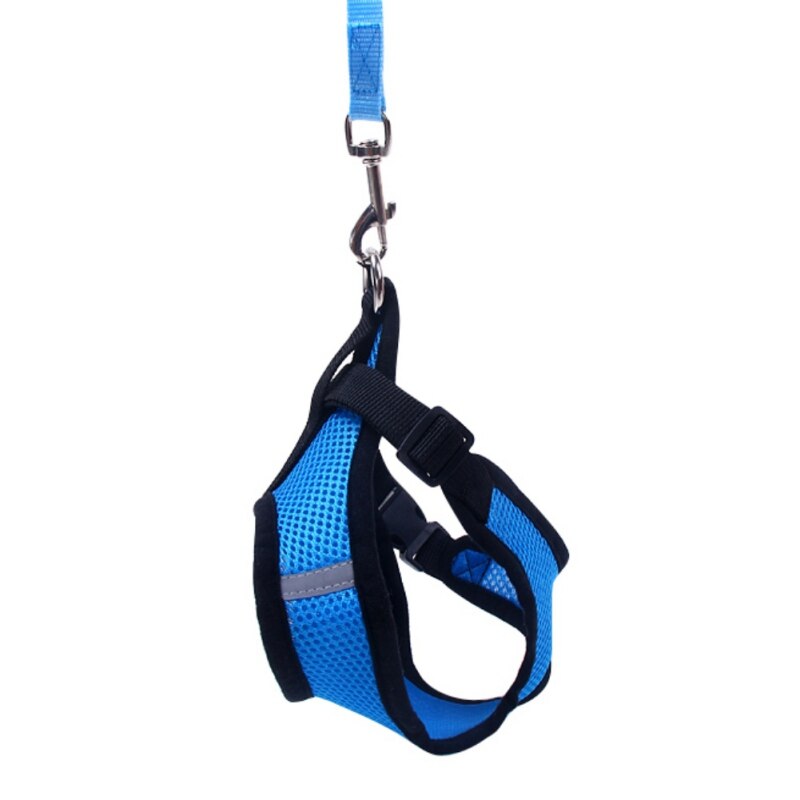 Leuke Kleine Nylon Harnas Hond Kat Pet Harness Set Chihuahua hond Accessoires Hond Lood Pet Shop Supplies Hond kragen