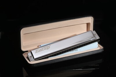 Swan SW1040 Silver Color 10 Holes 40 Tones Chromatic Harmonica Changeable Tones Musical Instrument Woodwind Swan Harmonica Harp: EasttopT2403 silver