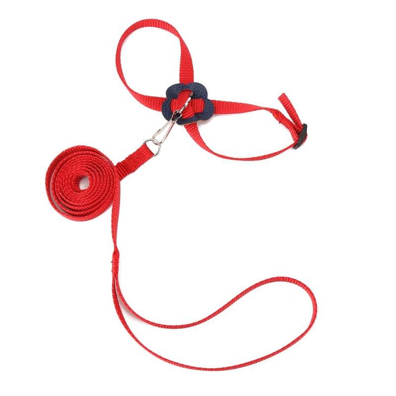 Huisdier Vogel Harness En Leash Verstelbare Parrot Bird Harness Leash Pet Anti Bite Training Touw Zachte Draagbare Huisdier Playthings: Rood