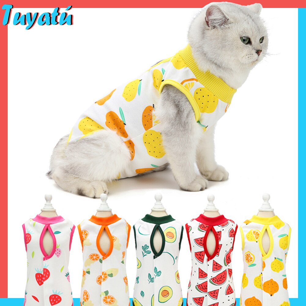 Summer Cat Spaying and neutering Clothes for Small Dogs Cat Clothes Weaning Anti-lick Vest Clothing for Cats Accessories Pet