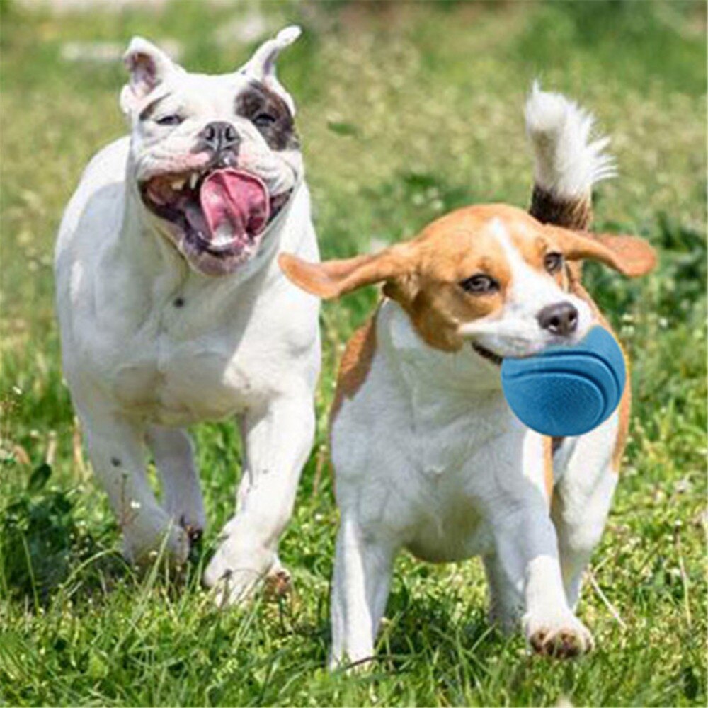 Haustier Hund Spielzeug extra-hart Gummi Ball Spielzeug Lustige Interaktive Elastizität Ball Hund Kauen Spielzeug Für Hund Zahn Reinigung teethbrush Bälle