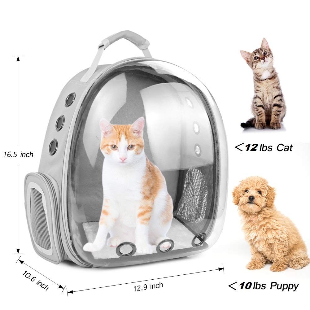 Ademend Kat Draagtassen Pet Carriers Kleine Hond Kat Rugzak Reizen Ruimte Capsule Kooi Huisdier Transport Bag Draagtas Voor Katten