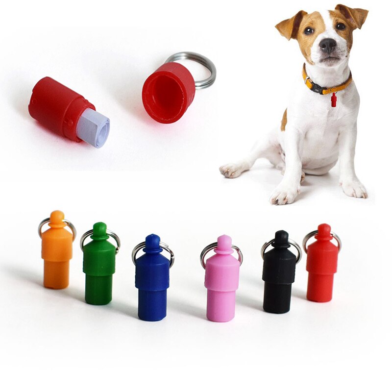 Chien chat Tube de rangement Anti perdu adresse nom étiquettes breloque pour animal de compagnie nom de l'animal pendentif os collier collier chiot chat collier accessoire