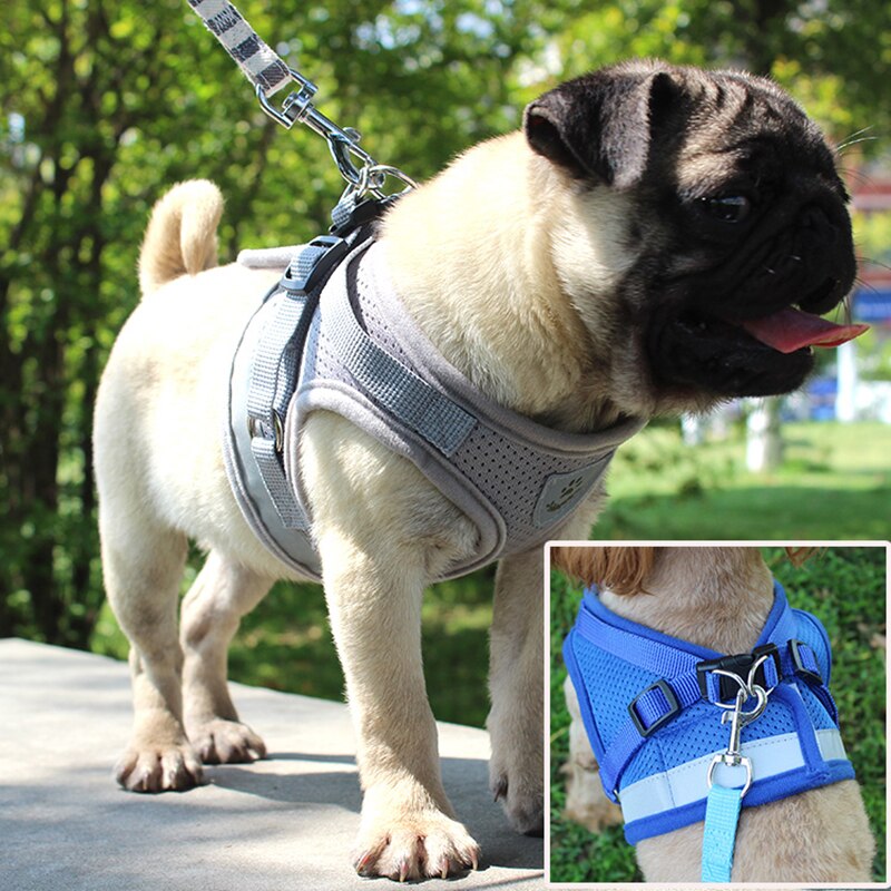 Reflecterende Hond Harnas Vest Voor Kleine Middelgrote Honden Chihuahua Pug Franse Bulldog Verstelbare Pet Wandelen Harness & Leash Set