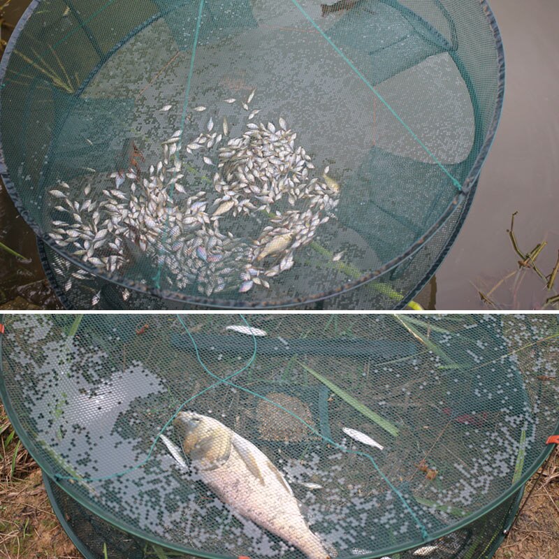 Trampa de red de pesca automática forma redonda duradera abierta para cangrejo langosta YS-BUY
