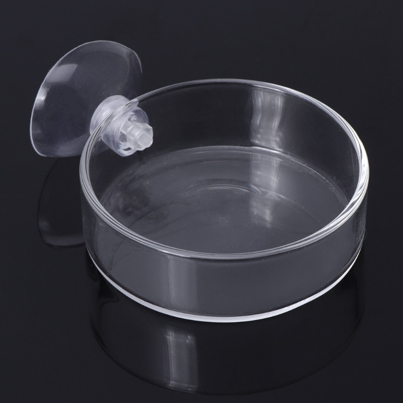 Plato alimentador de cristal transparente de gambas para comer, bandeja de comida, contenedor redondo, cuencos de alimentación para pecera de acuario: Default Title