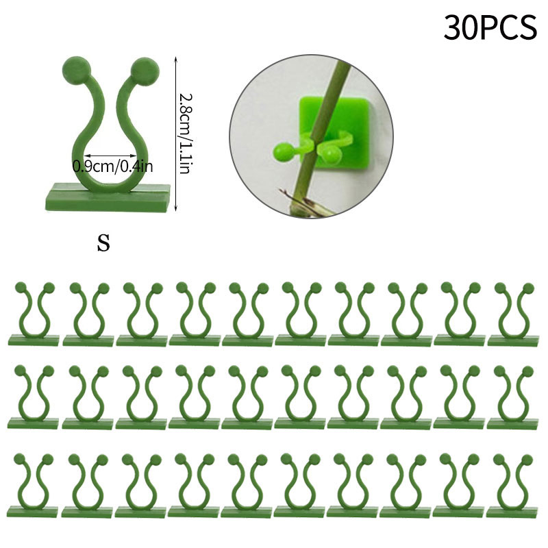 10/30/50 Stuks Plant Klimmen Muur Zelfklevende Haak Armatuur Clips Onzichtbare Rotan Klem Armatuur Muur kleverige Haak Plant Ondersteuning: Green-S-30pcs