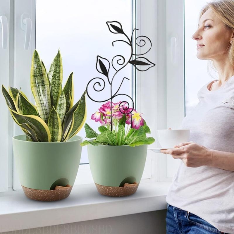 E8bd traliccio per pianta in vaso mini giardino traliccio Casa pianta traliccio Arrampicata fai -da -te