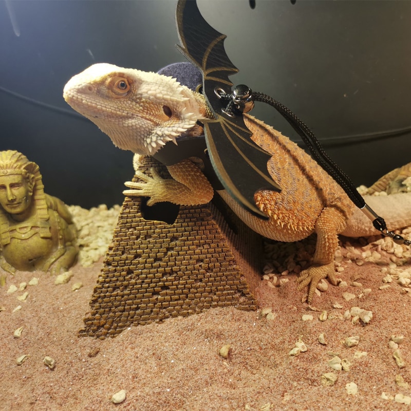 Verstelbare Baardagaam Leash Harness set Vleugels Kostuum Kleding Van Baby Tot Jeugd Hagedis Leguaan Gekko Kameleon Wandelen