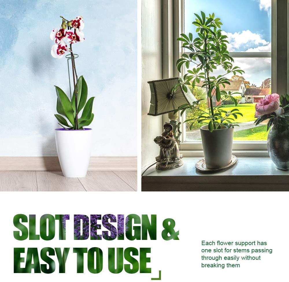 6 Pack Plant Ondersteuning Stakes, tuin Single Stem Ondersteuning Stake Plant Kooi Ondersteuning Ringen Voor Amaryllis Tomaten Orchidee Lelie Peonage: Default Title