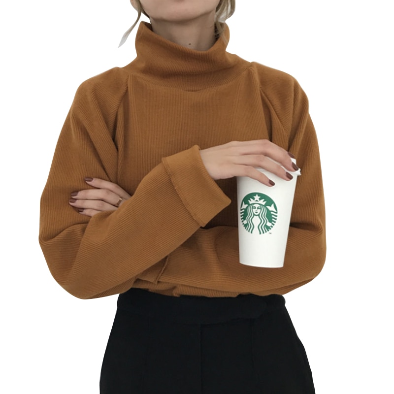 2020 outono inverno camisola de gola alta de malha jumper das mulheres novas blusas casuais solto manga longa jaqueta pullovers feminino topo