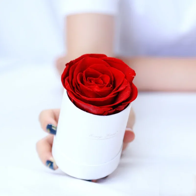 Caja de de cubo de abrazo redondo con flor rosa preservada, flor eterna, rosa inmortal, boda, del Día de San Valentín para novia, mamá y esposa: Beige