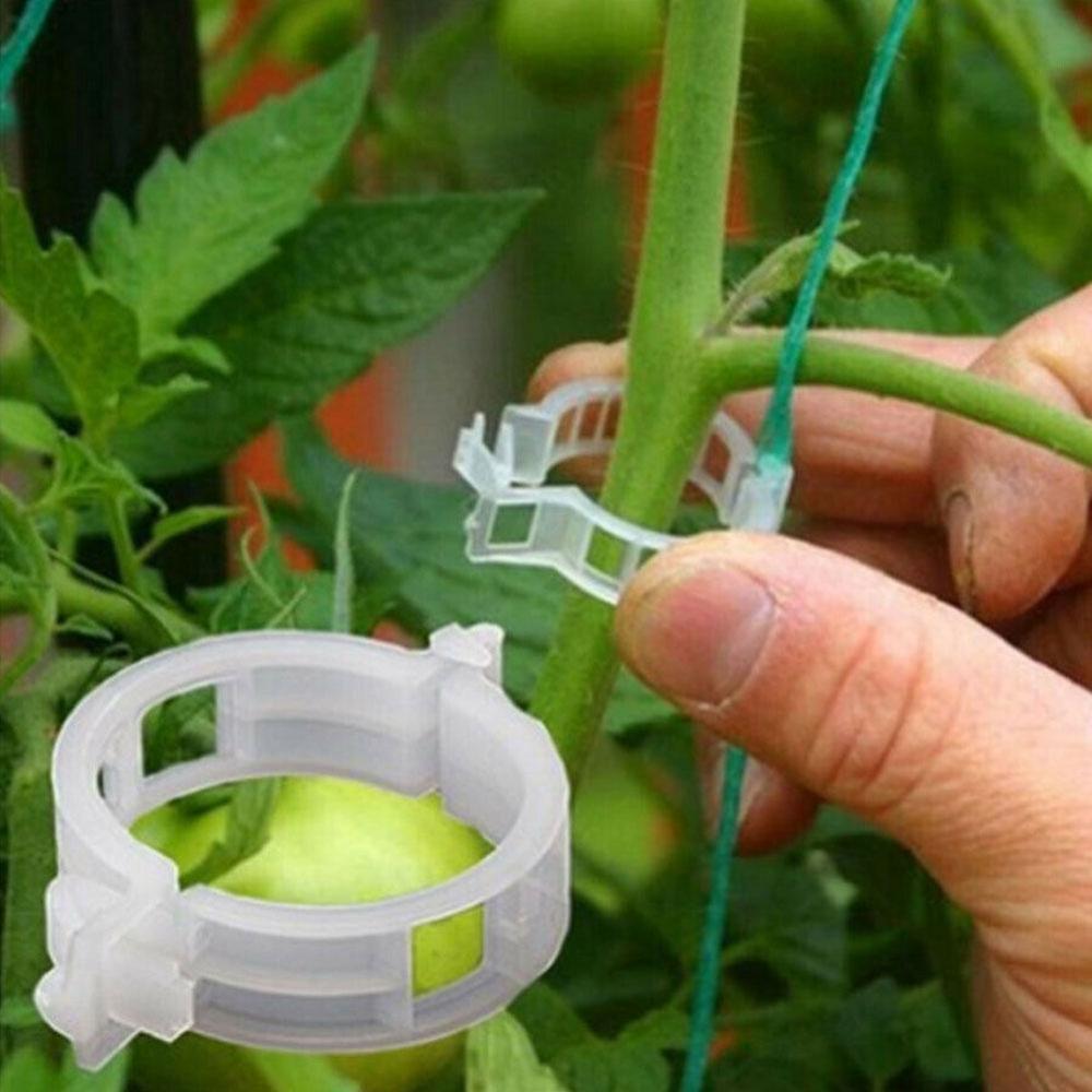 50 Stuks Plastic Wijnstok Clip Plant Clips Tomaat Opknoping Trellis Wijnstok Verbindt Planten Bescherming Voor Kousenband Planten Landbouw Gereedschap