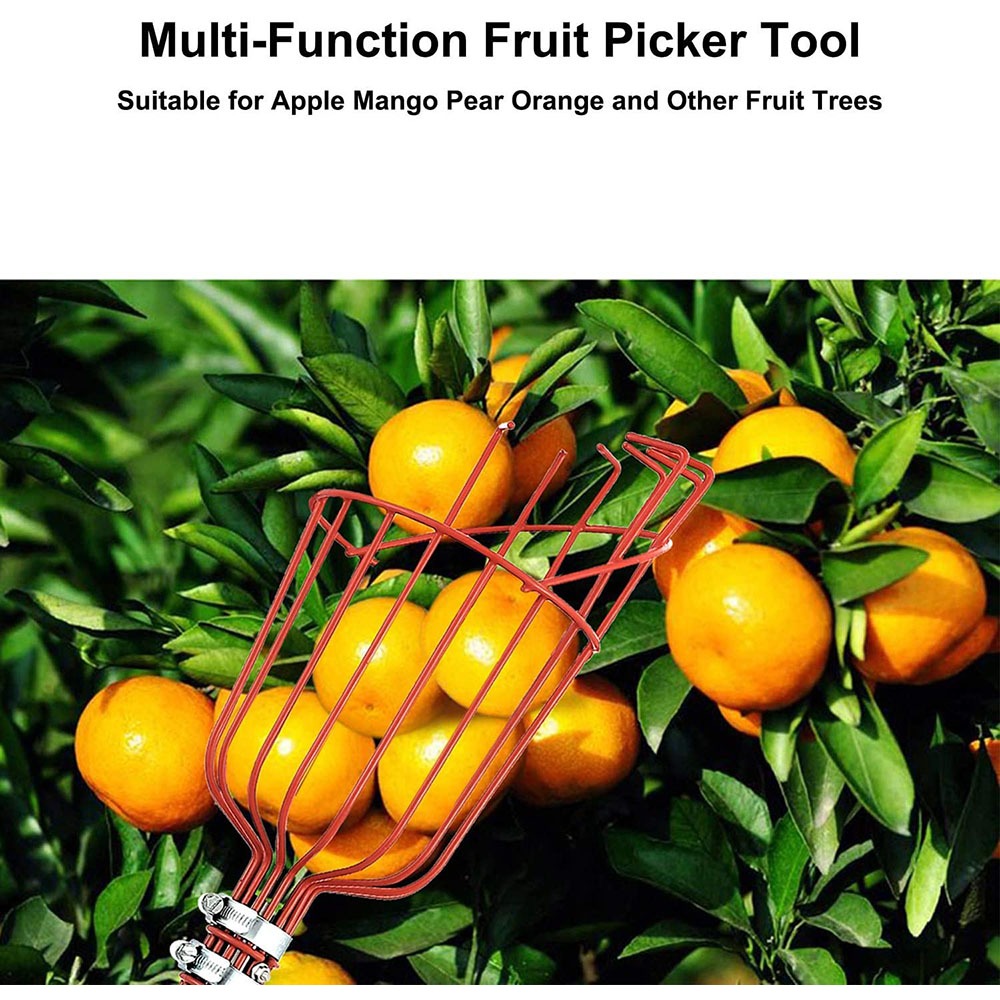Ramasseur de fruits 260cm, panier profond réglable, pratique, collecteur de fruits, cueillette de pommes et de pêches, outils de jardin