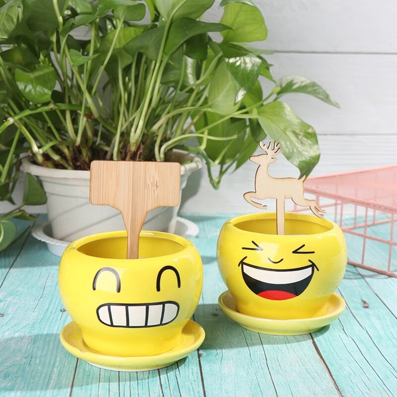 Plant Tags Bamboe Plant Markers Kwekerij Labels T Type Plant Markers Bonsai Label Tuin Bloemen Gereedschappen Plant Label 10 stuks