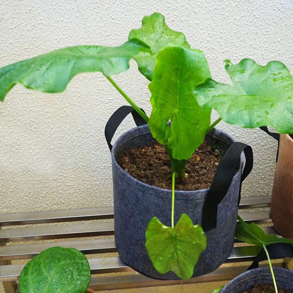 10/7/5/3/2 DIY Plant Seeding Grow Bags Vegetable Flower Pots Indoor Farm Graden Vegetable Flower Growing Bags Planting Tools