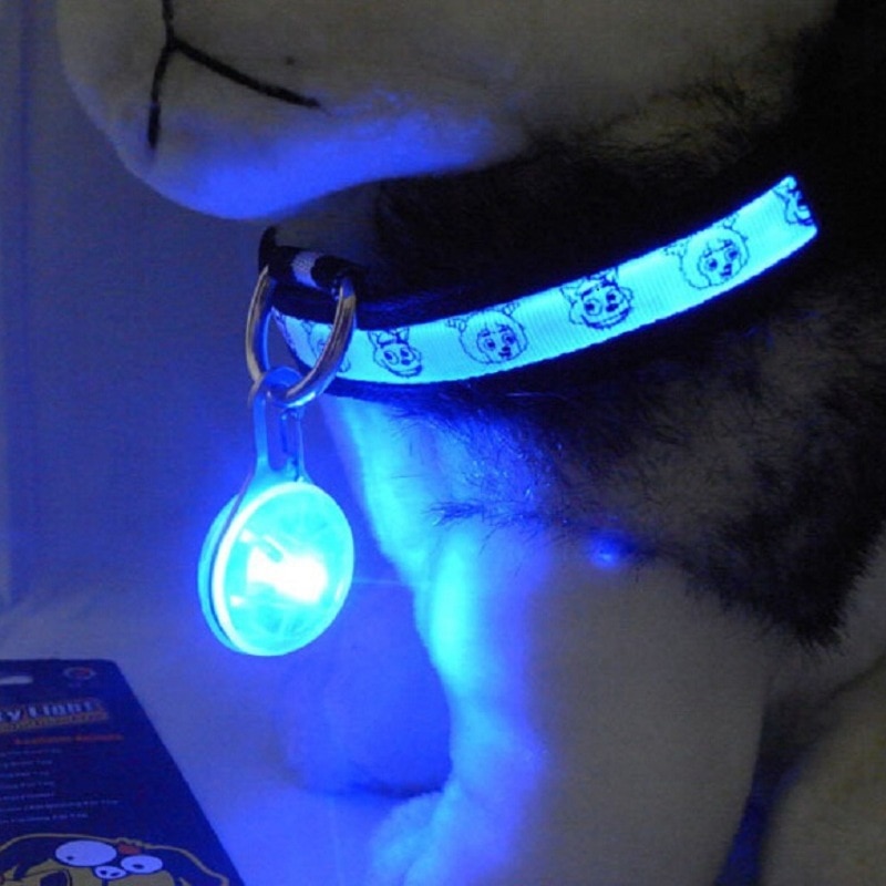 Huisdierhalsband, mooie kat en hond, nachtlampje met led-lampjes, gloeiend plastic label, nachtveiligheidshanger, kleine hondenaccessoires, dierenbenodigdheden