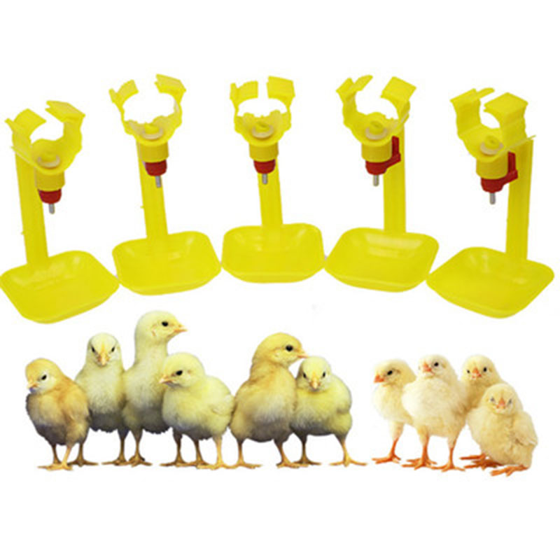10 20PCS Poultry Chicken Water Drinking Tool Hen Quail Bowl For Farm Animal Automatic Drinker Feeder Bird Cups Bottles