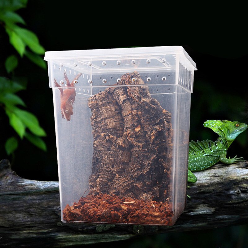 Allecto Plus - Reptielen Voederbak Voor Amfibieën | Inclusief Zuignap Geschikt Voor Schildpadden Gecko S Slangen Hagedissen Anti Ontsnappingssysteem