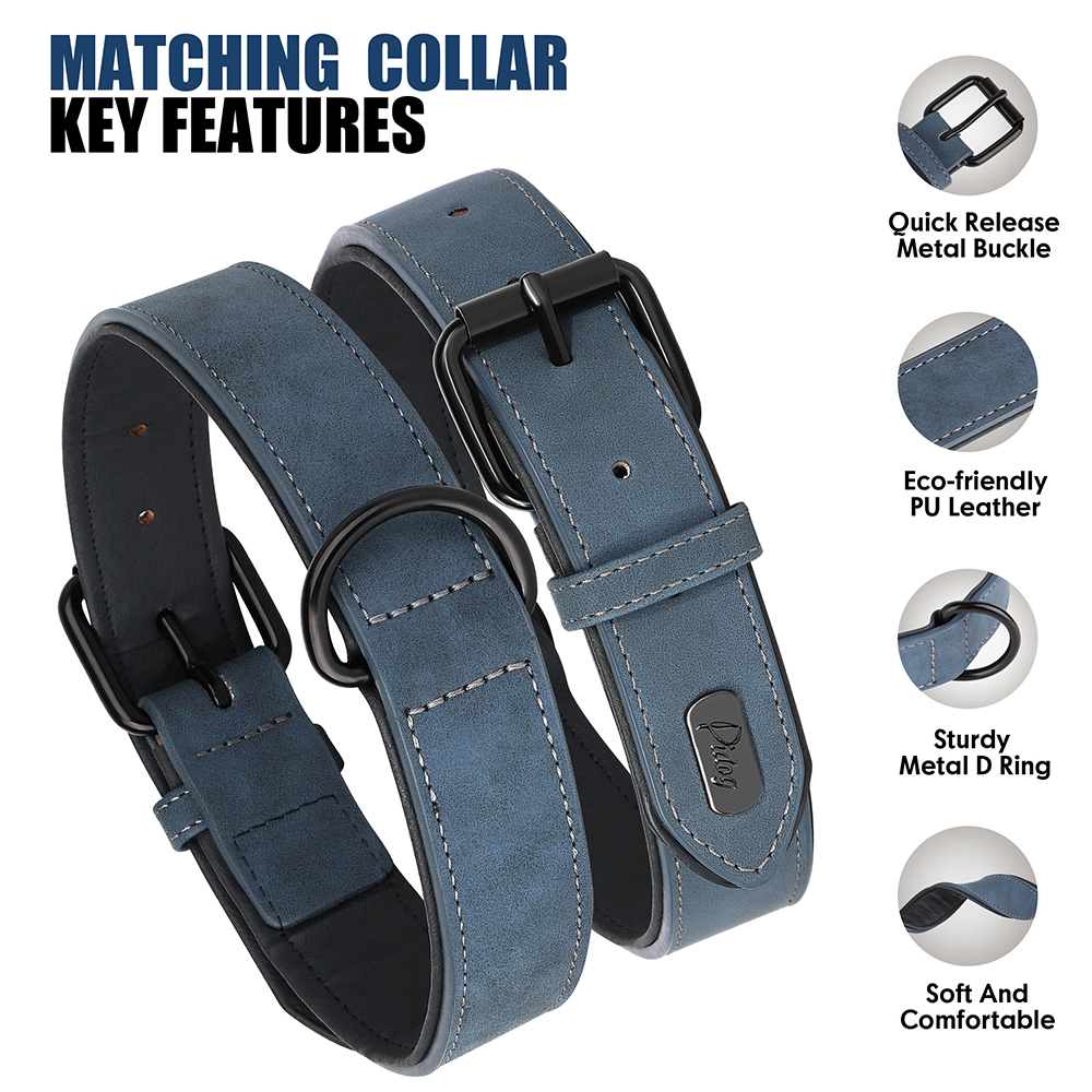Ensemble de laisse de collier de chien en cuir PU, colliers de chiot rembourrés et souples, collier réglable pour animaux de compagnie avec plomb de marche pour petits et grands chiens carlin: M / Black