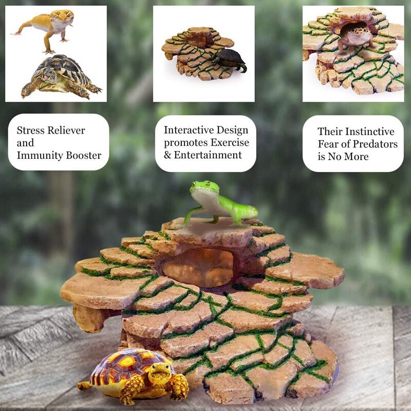 Shale Step Ledge for Aquariums & Terrariums Ads Hi... Grandado