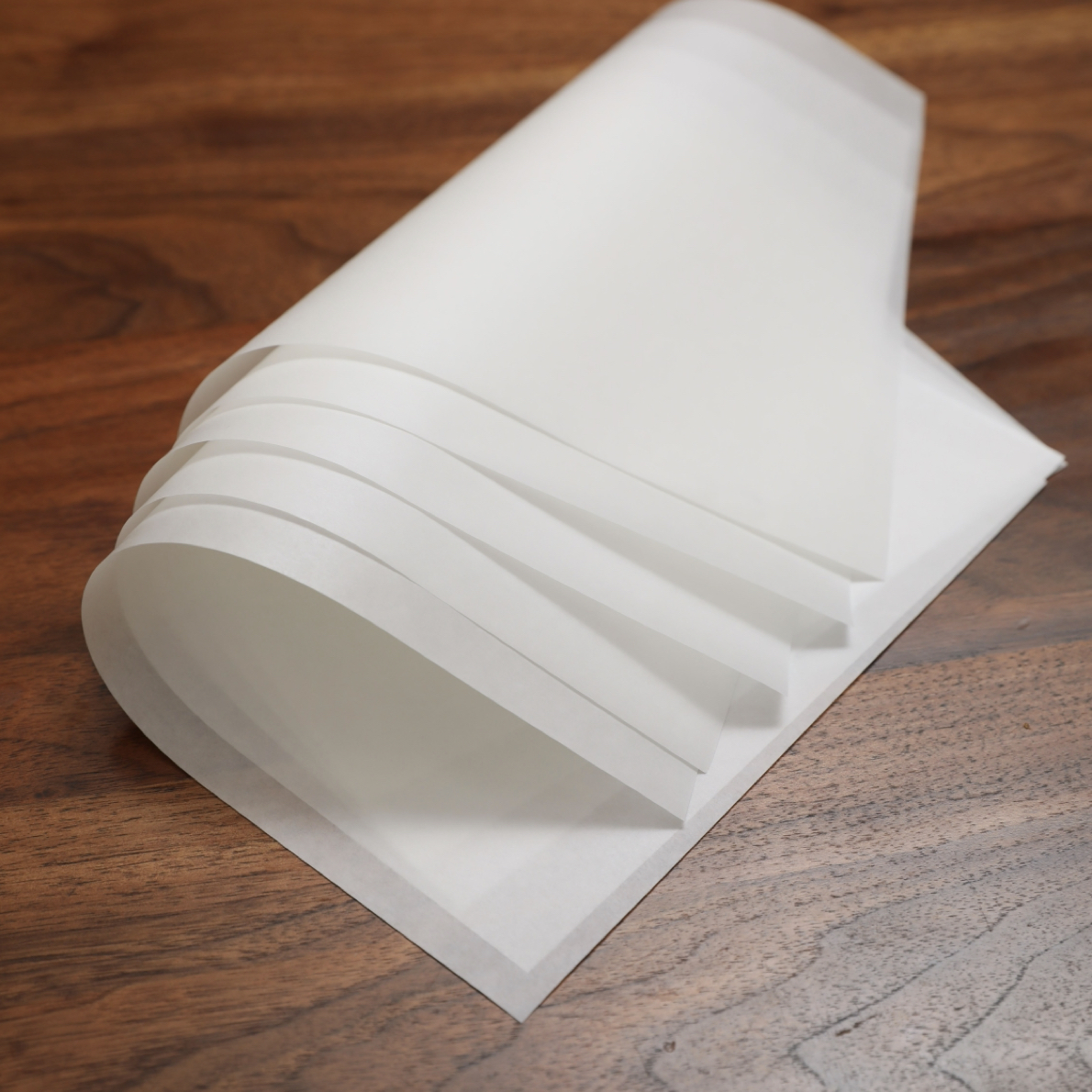 Parchment Paper Baking Paper 4"6"8"9"10"12" Precut Non-Stick Grilling Food Packaging Oven Air Fryer Steaming Bread Cake Cookie