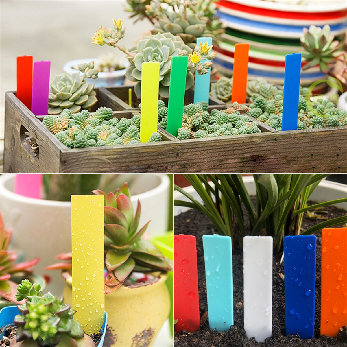 Etykiety na rośliny ogrodowe PVC kształt strzałki szkółka taca na sadzonki znak szklarnia smutny kwiat bonsai tablica rejestracyjna wiele kolorów 50 sztuk