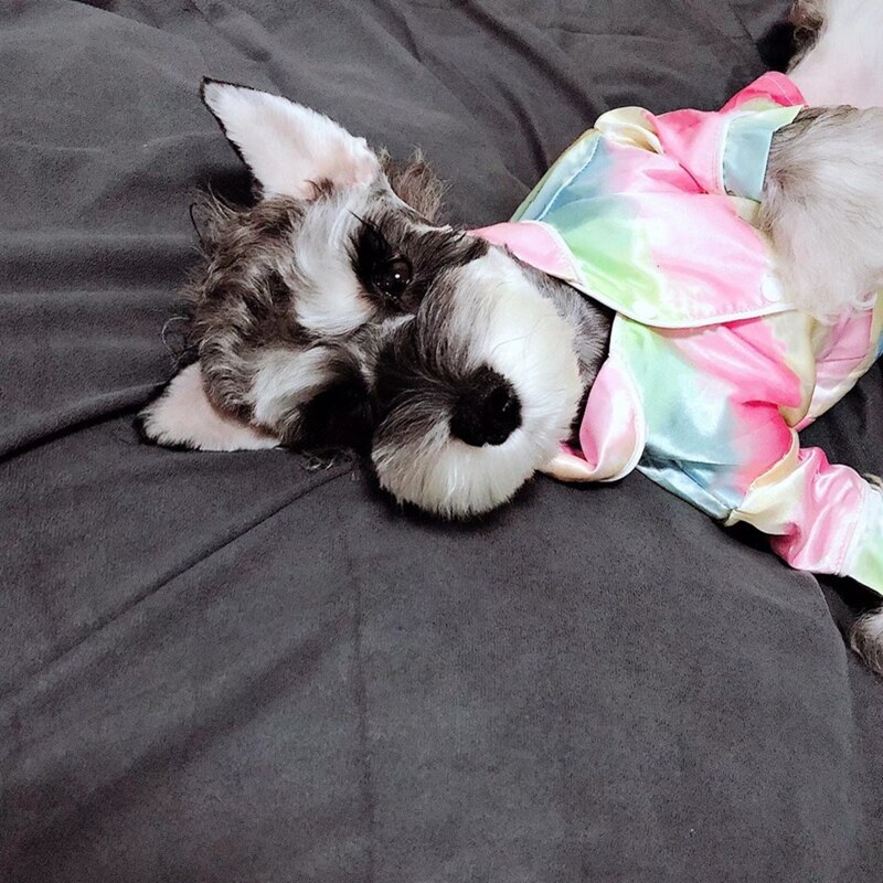 Stil regnbuepyjamas hundeskjorte til små mellemstore hunde tøj schnauzer chihuahua mops hvalp nighty emc 20