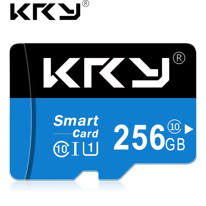 Micro Sd Geheugenkaart 128Gb 32Gb 64Gb 256 Gb 16Gb 8Gb 4Gb Sd-kaart sd/Tf Flash Card 4 8 16 32 64 128 256 Gb Geheugenkaart Voor Telefoon: 256GB Class 10