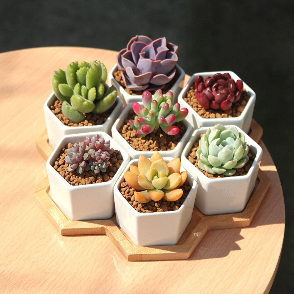 Silicone Molds for Cement Flower Pot Mold Reusable DIY Easy Demould Making Plants Pot Molds for Household Garden Grass Supply