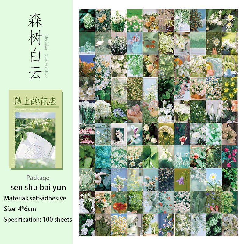 JIANWU 100 Sheets Aesthetic Flower Decorative Stickers Journal Collage Material Scrapbooking Boxed Stickers Stationery Supplies: sen shu bai yun