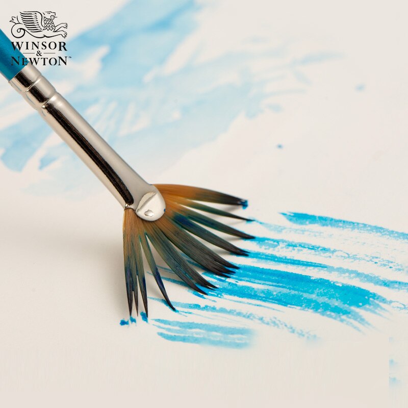 Pinceles para acuarela Winsor & Newton Cotman, bolígrafos, punta de nailon, rizador, Filbert, una carrera, en ángulo, punta de ventilador de mopa
